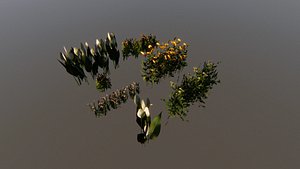 3D model Flowers And Garden Assets