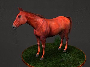 3d arabic horse