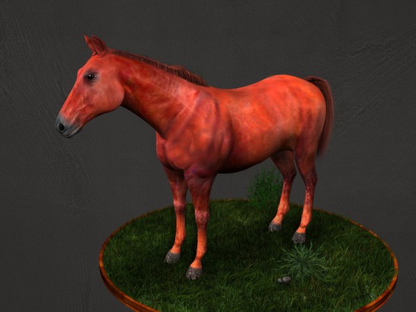 3d arabic horse