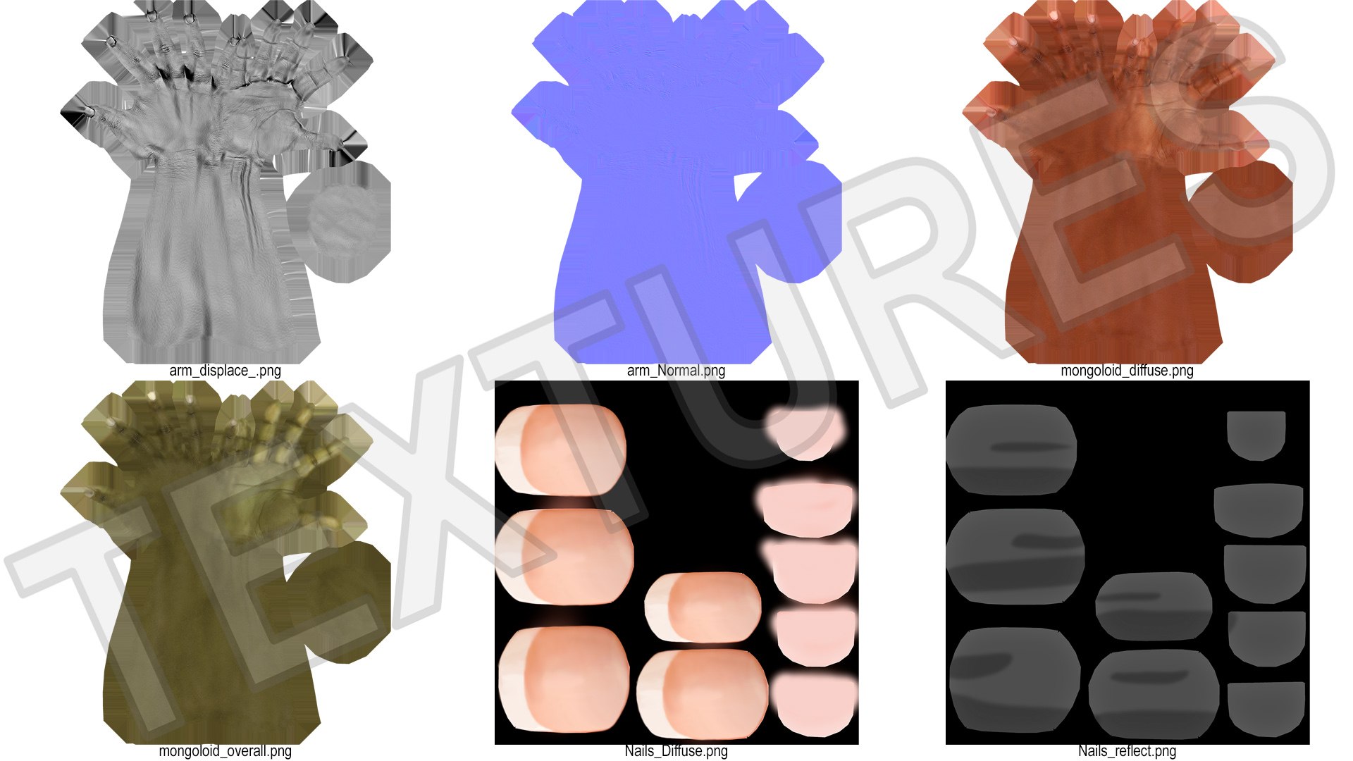 Female Realistic Hand Rigged For Cinema 4D Model - TurboSquid 2371404