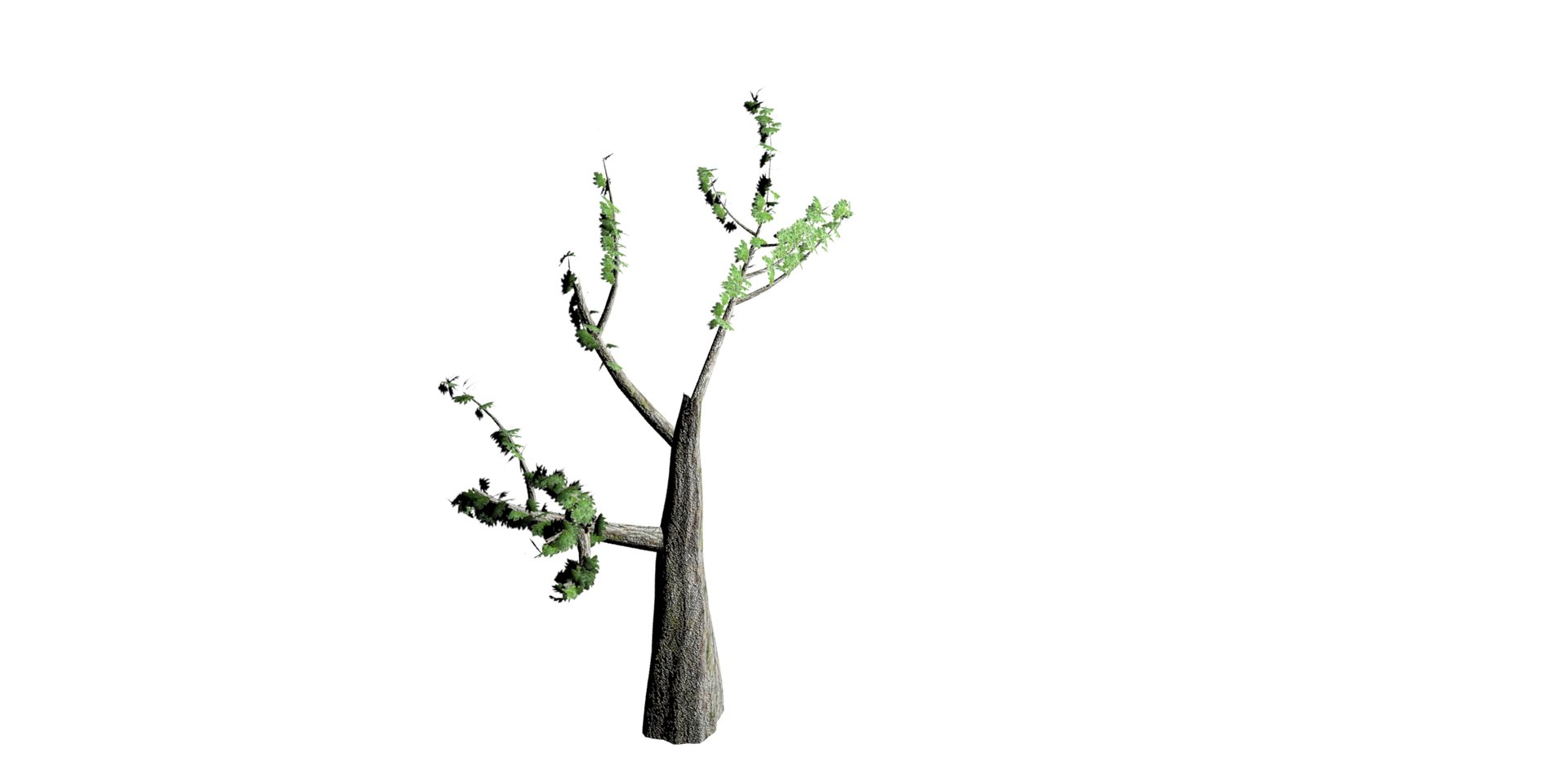 tree 3D model https://p.turbosquid.com/ts-thumb/mP/hjqte6/FBe0umTp/tree1/jpg/1514586746/1920x1080/fit_q87/923b2292b305ada456034ad998b2614c40634f18/tree1.jpg