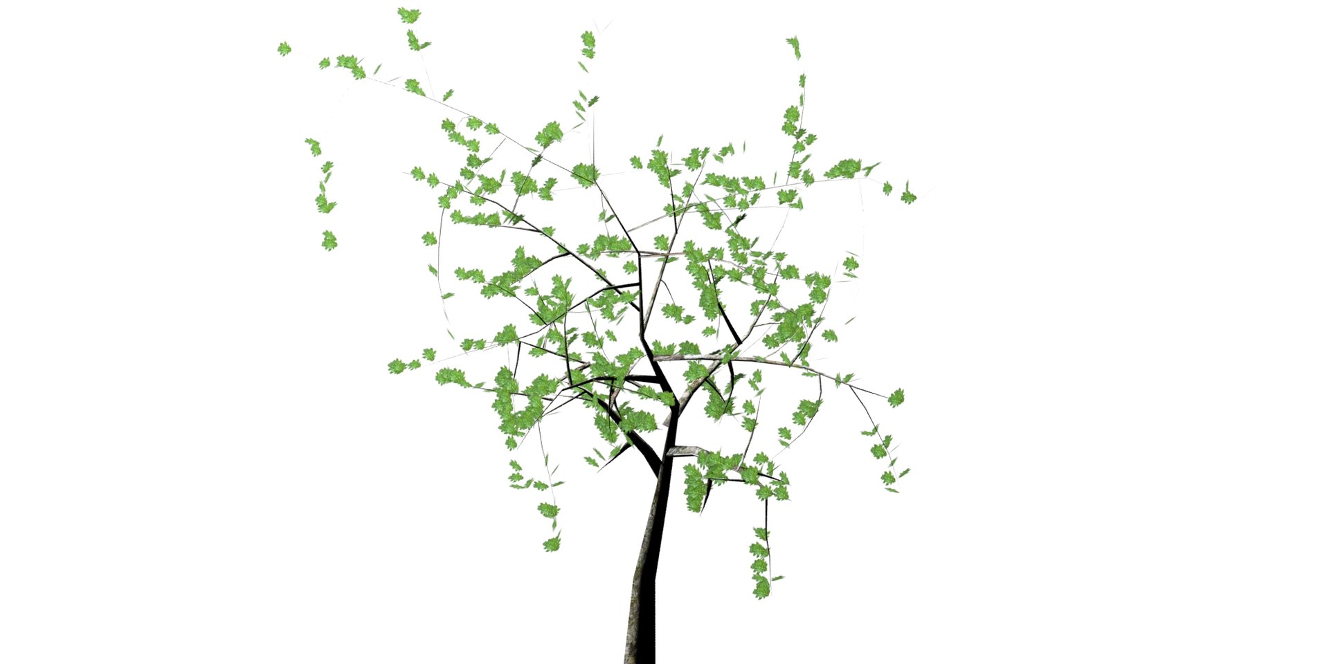 tree 3D model https://p.turbosquid.com/ts-thumb/mP/hjqte6/uXkvnYsF/tree2/jpg/1514586756/1920x1080/fit_q87/0d8e2ca9d1e581d4e6bac0da6d3bd03c0f40b90c/tree2.jpg