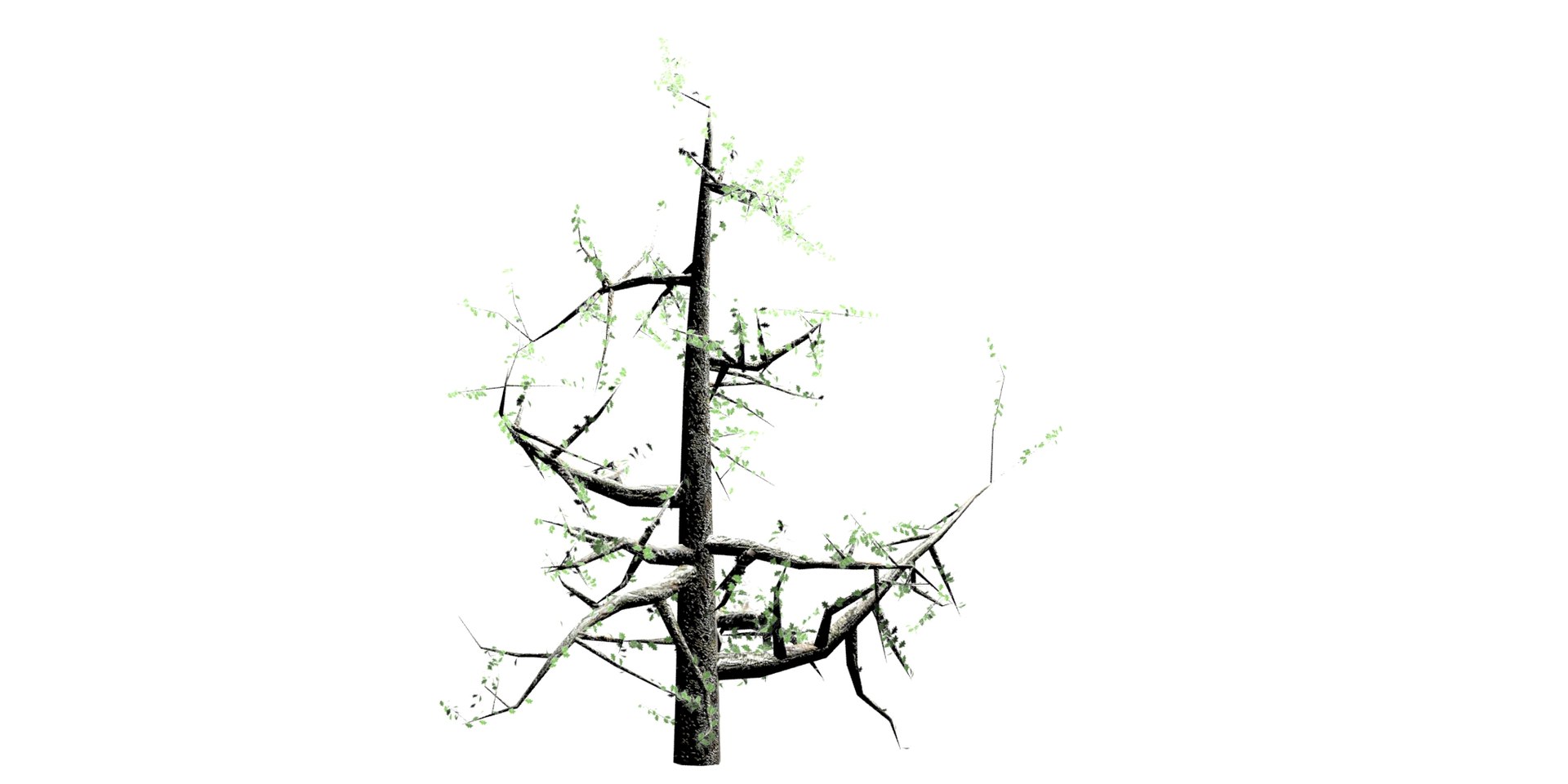 tree 3D model https://p.turbosquid.com/ts-thumb/mP/hjqte6/xbGWPBGj/tree3/jpg/1514586780/1920x1080/fit_q87/8e4d75a7977ffea2a779bfa5ae9a36f2fdb840f2/tree3.jpg
