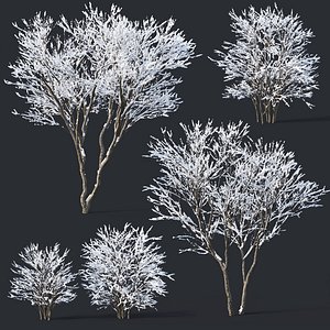 3D lilac bushes snow