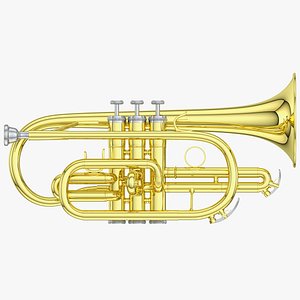 3D model cornet