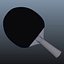 Ping Pong Paddle