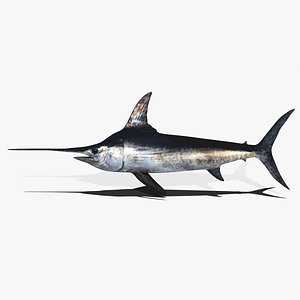 3D Swordfish model