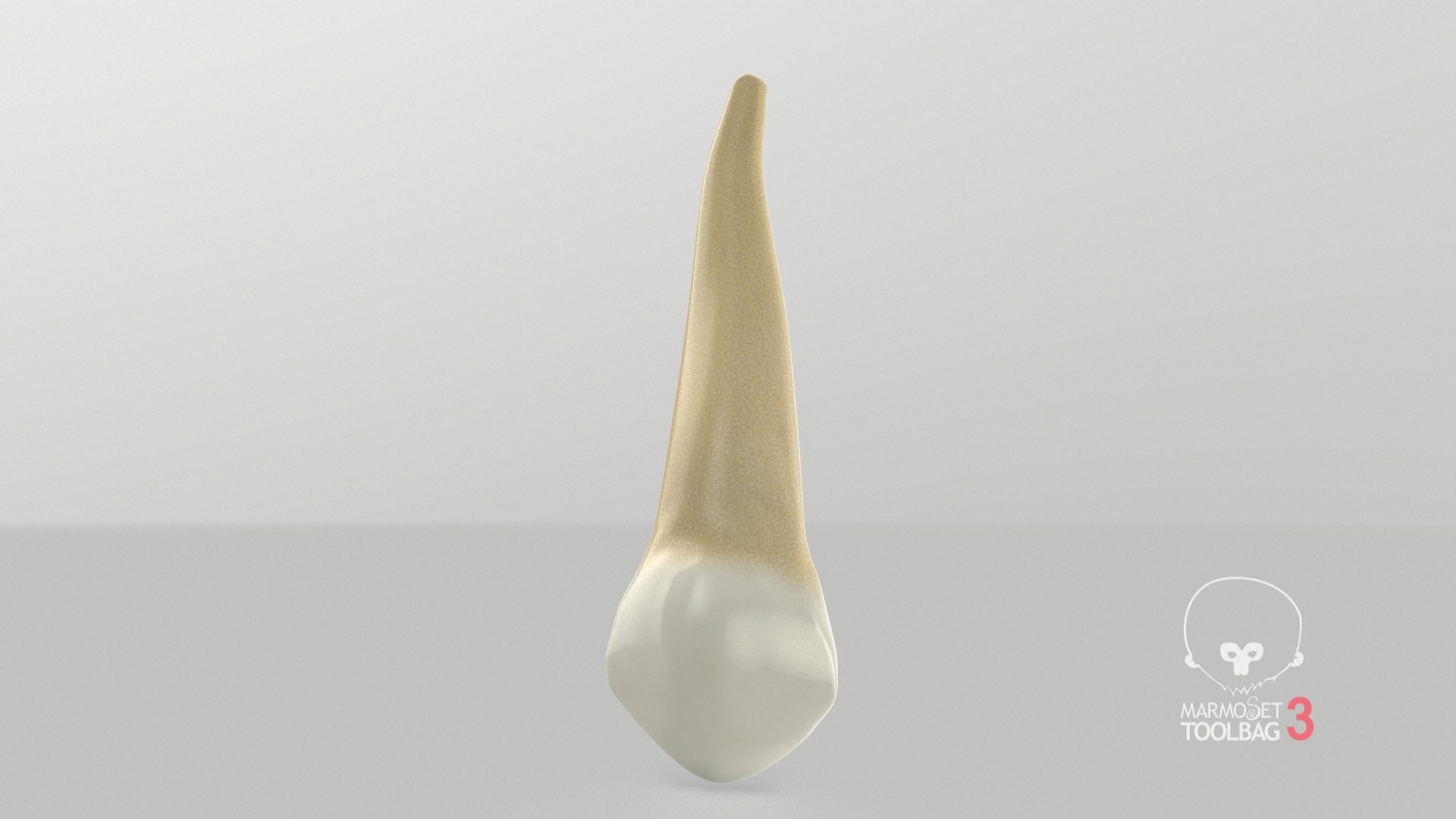 3D human teeth upper canine model - TurboSquid 1516716