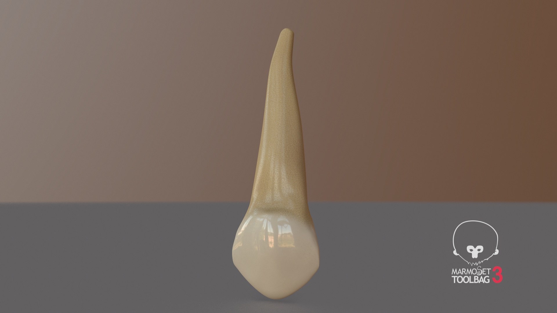 3D human teeth upper canine model - TurboSquid 1516716