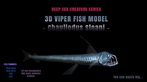 3D VIPER FISH MODEL Realistic - Chauliodus Sloani