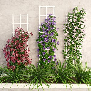 flower wall 3D model