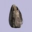 Fóssil de samambaia Obsidean