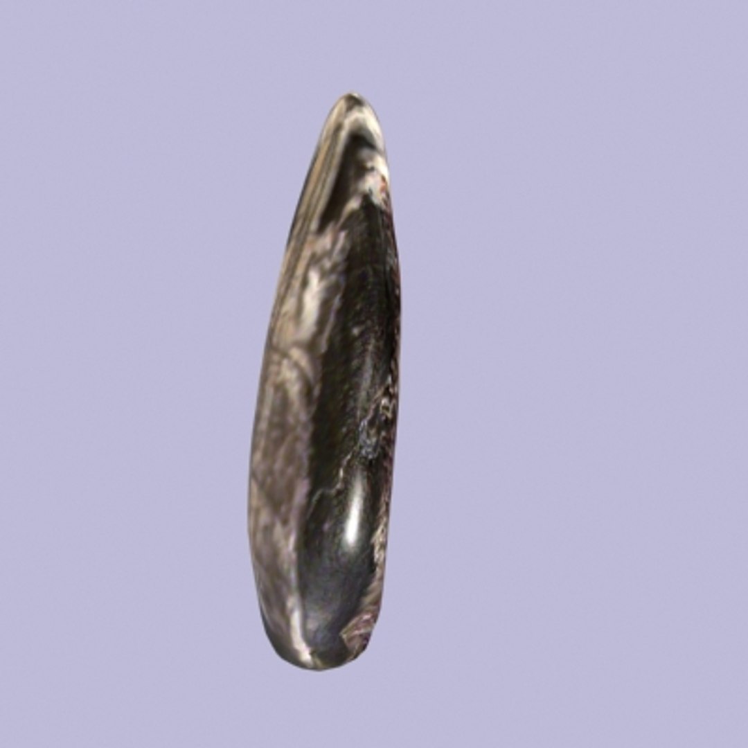 3d model obsidean fern fossil https://p.turbosquid.com/ts-thumb/mQ/Ga4ELt/CzkasFJr/obsideangeode0098/jpg/1291218247/1920x1080/fit_q87/97bf15bd216e75301003a8df969efe1c3532b00f/obsideangeode0098.jpg