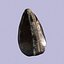 Fóssil de samambaia Obsidean