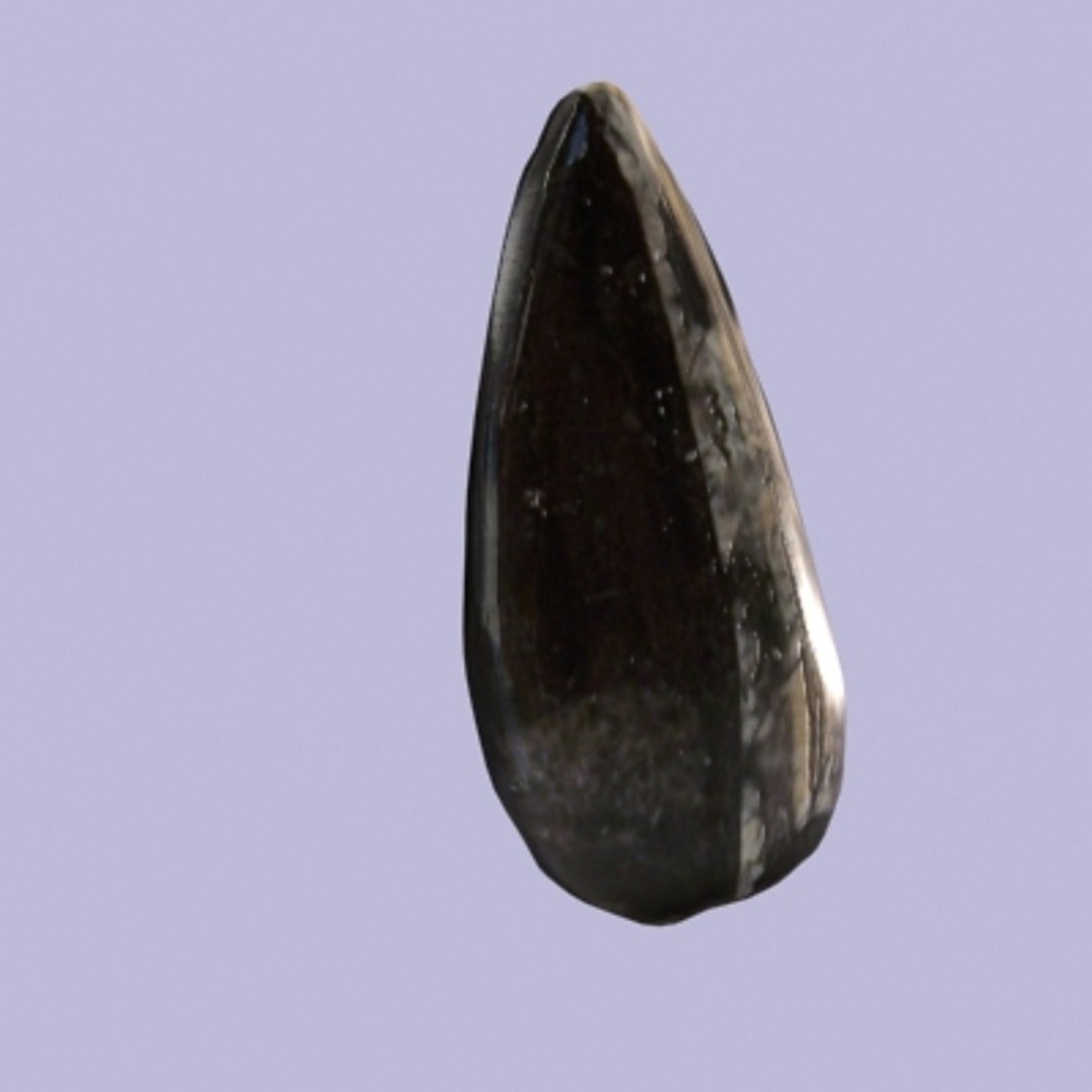 3d model obsidean fern fossil https://p.turbosquid.com/ts-thumb/mQ/Ga4ELt/X5rOPBYR/obsideangeode0290/jpg/1291218247/1920x1080/fit_q87/17bd6a0f9eee545c5aa20f32f29f063d85bd2ab0/obsideangeode0290.jpg
