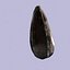 Fóssil de samambaia Obsidean