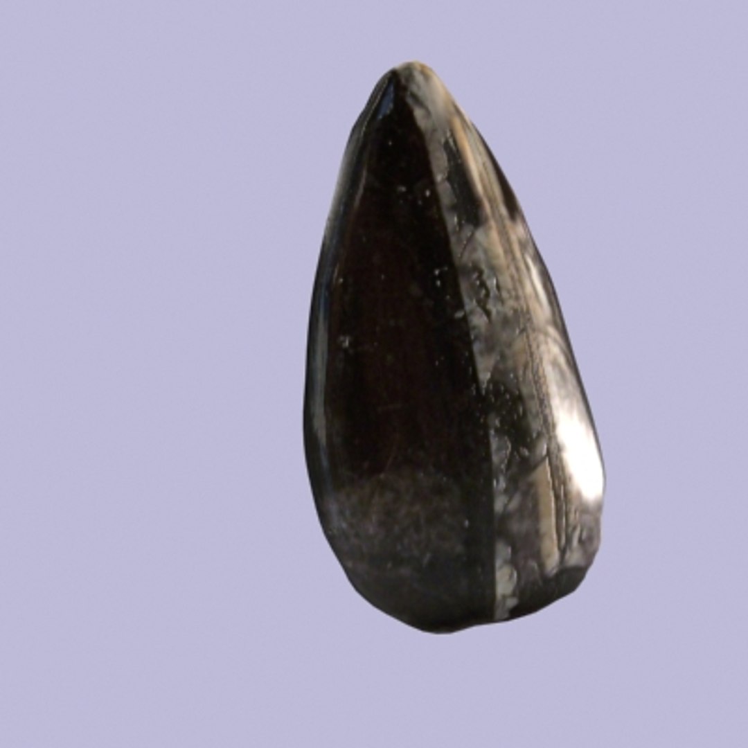 3d model obsidean fern fossil https://p.turbosquid.com/ts-thumb/mQ/Ga4ELt/XILmqyhP/obsideangeode0302/jpg/1291218247/1920x1080/fit_q87/d9ffd24340e8ee4c6b468dc98f7cb4cd1d35a836/obsideangeode0302.jpg