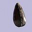 Fóssil de samambaia Obsidean