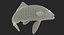 3D harivake koi fish rigged