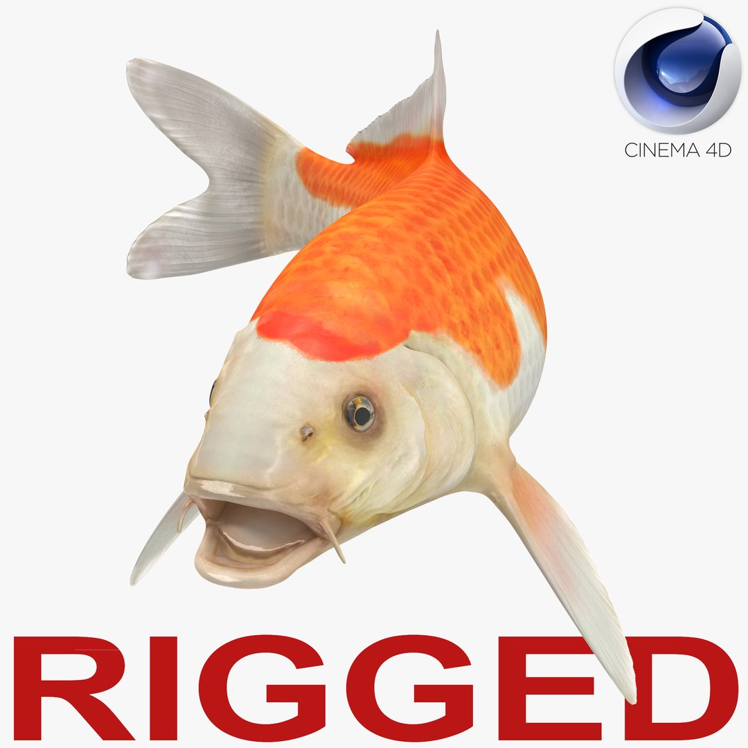 Harivake Koi Fish Rigged for Cinema 4D 3D model preview