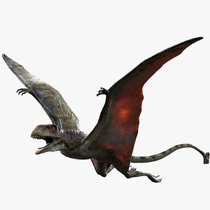Peteinosaurus (Rigged)