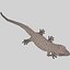realistic gecko rigged max
