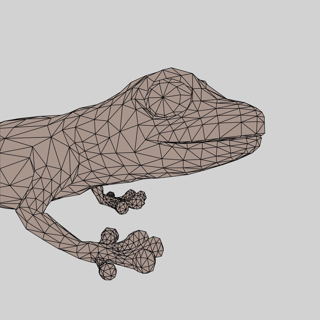 Realistic Gecko Rigged Max