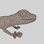 realistic gecko rigged max
