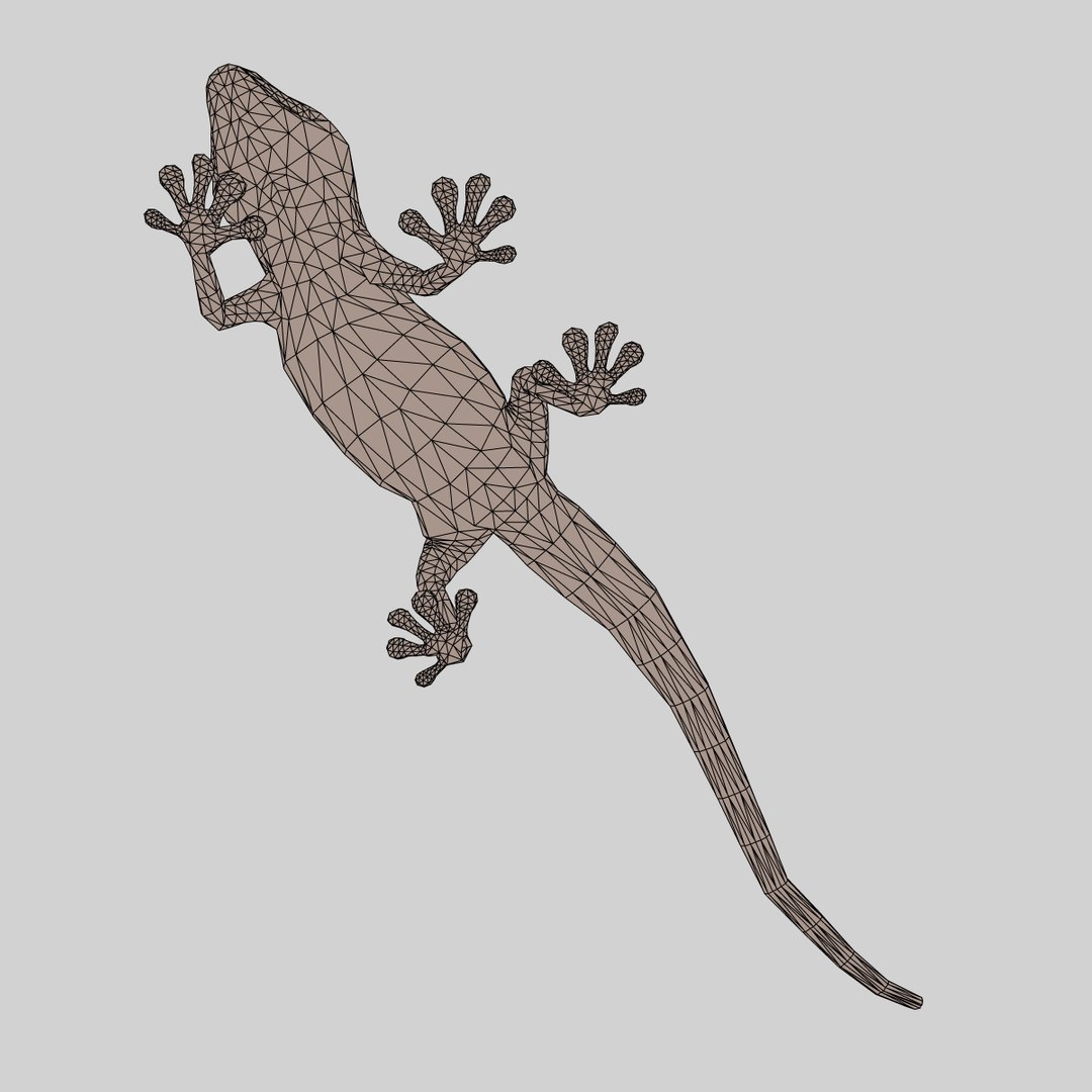 Realistic Gecko Rigged Max