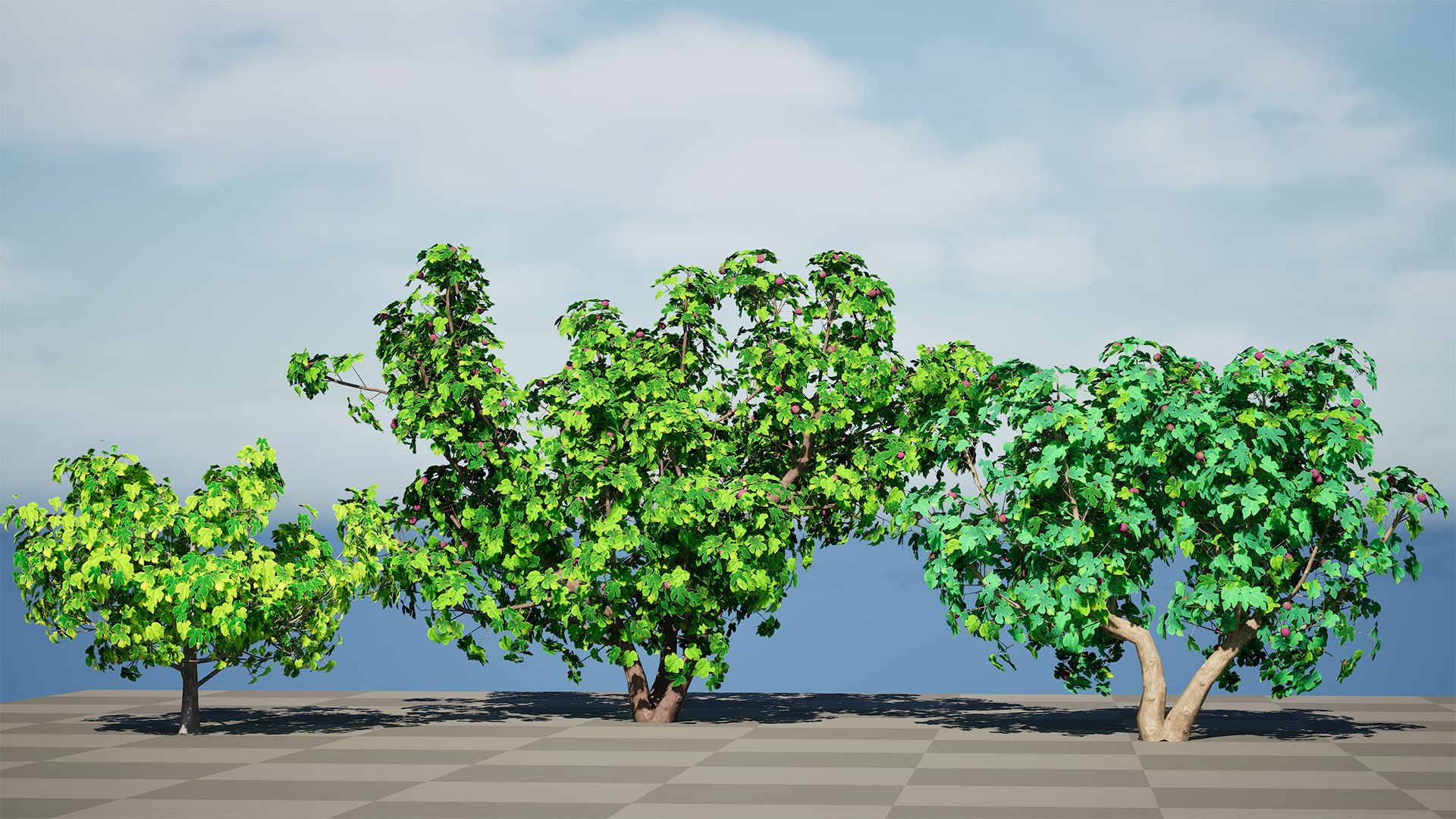 3D Realistic Fig Tree With Fruits - TurboSquid 2355122