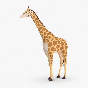 giraffe----standing 3D model