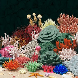 60 Marine Life Coral Reef 3D Assets