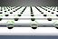 YOUNG SMALL PLANTS CROPS TREES PLANTLET SEEDLINGS SEED NFT TUBES