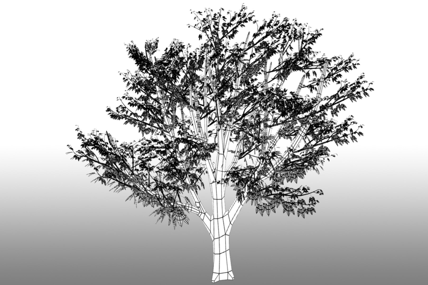 3d Tree Leaves Fall Summer