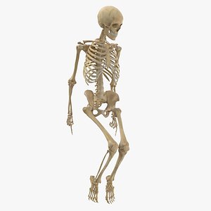 3D Real Human Female Skeleton Pose 98(1)
