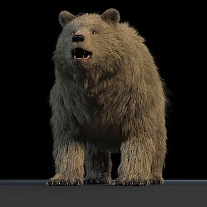 3D bear rig model