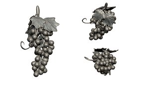 3D model grape