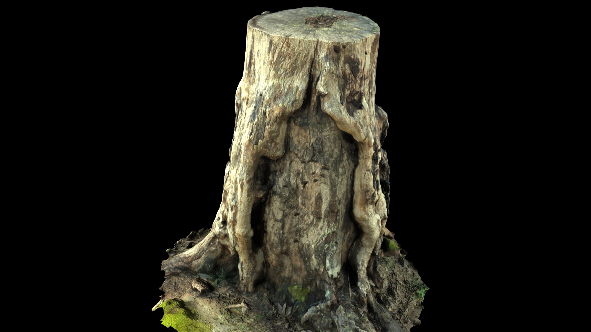 3D STUMP model https://p.turbosquid.com/ts-thumb/mR/3YJ4Bq/2W/7/jpg/1621252811/1920x1080/fit_q87/202e5230b49a0766c534724da6a5aae38fc64549/7.jpg