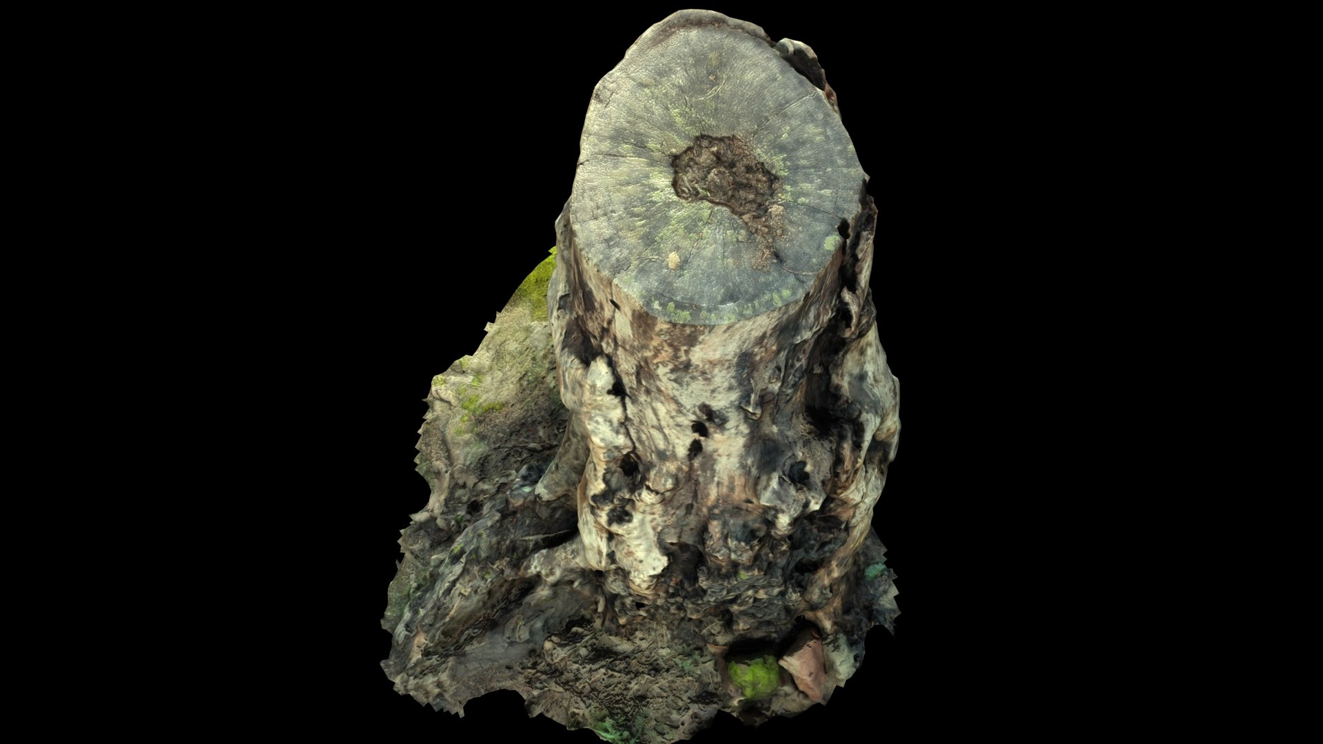 3D STUMP model https://p.turbosquid.com/ts-thumb/mR/3YJ4Bq/OW/9/jpg/1621252921/1920x1080/fit_q87/5c0d3a20fe3142063e7fd9fa83dea5a0cc0e0233/9.jpg