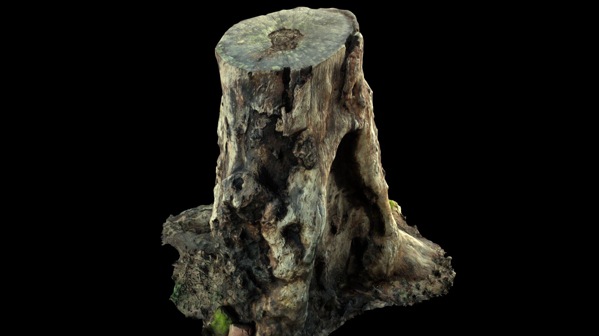 3D STUMP Model - TurboSquid 1733805