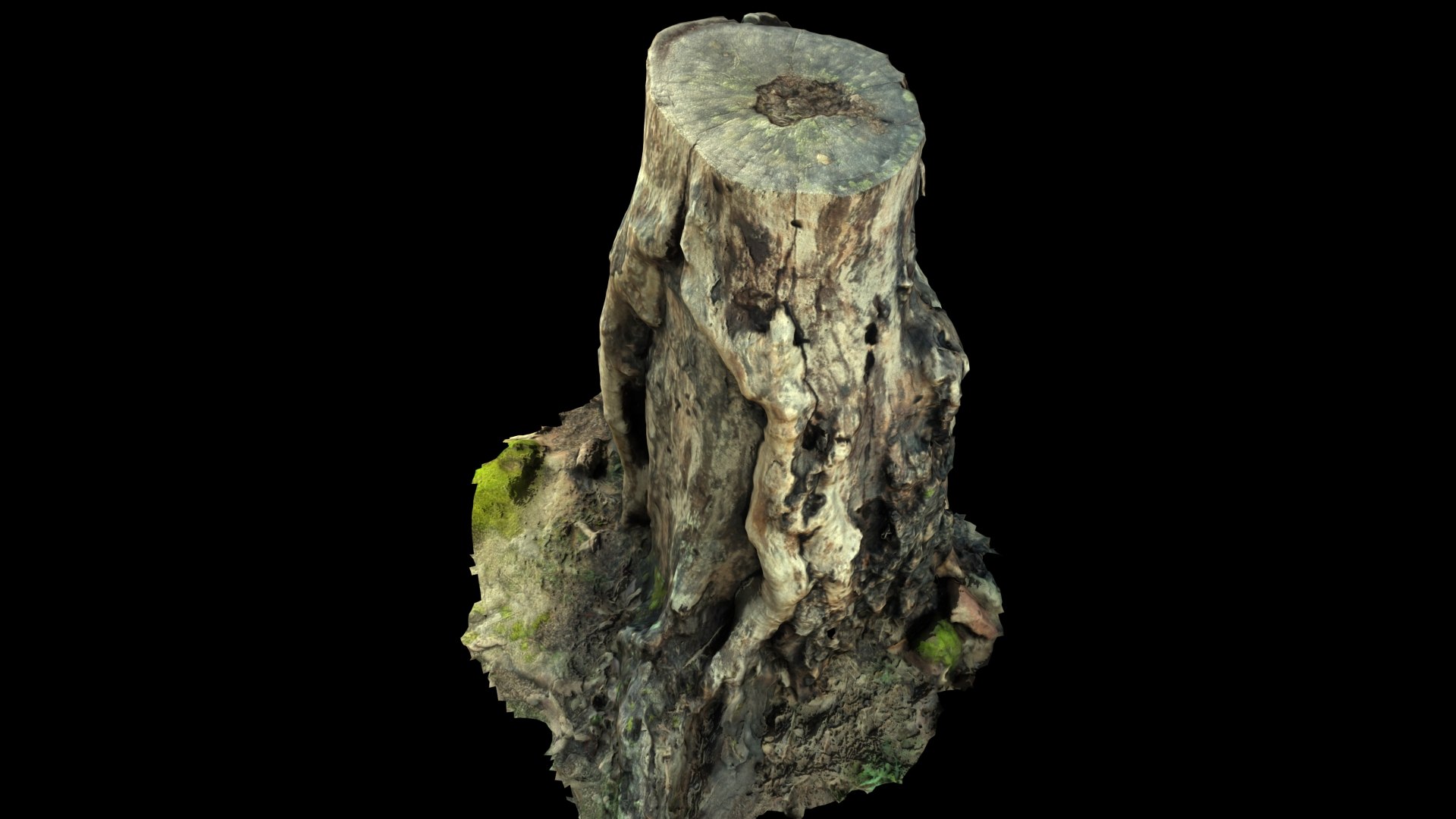 3D STUMP model https://p.turbosquid.com/ts-thumb/mR/3YJ4Bq/cK/8/jpg/1621252921/1920x1080/fit_q87/6cd303da8a72aa4b53c04e4ba3afeffad6a5178d/8.jpg