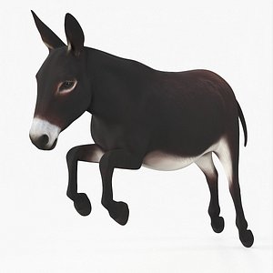 Jumping Farm Donkey Dark Brown model