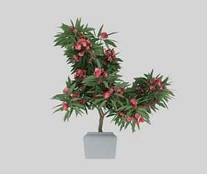 flowering tree 3D model