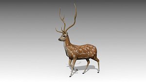 deer animations 3d max