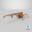 3D Mini Crawler - Spider Crane Used model