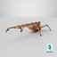 3D Mini Crawler - Spider Crane Used model