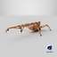 3D Mini Crawler - Spider Crane Used model