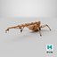 3D Mini Crawler - Spider Crane Used model