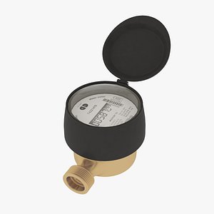 3D model Water Meter wiht Cap