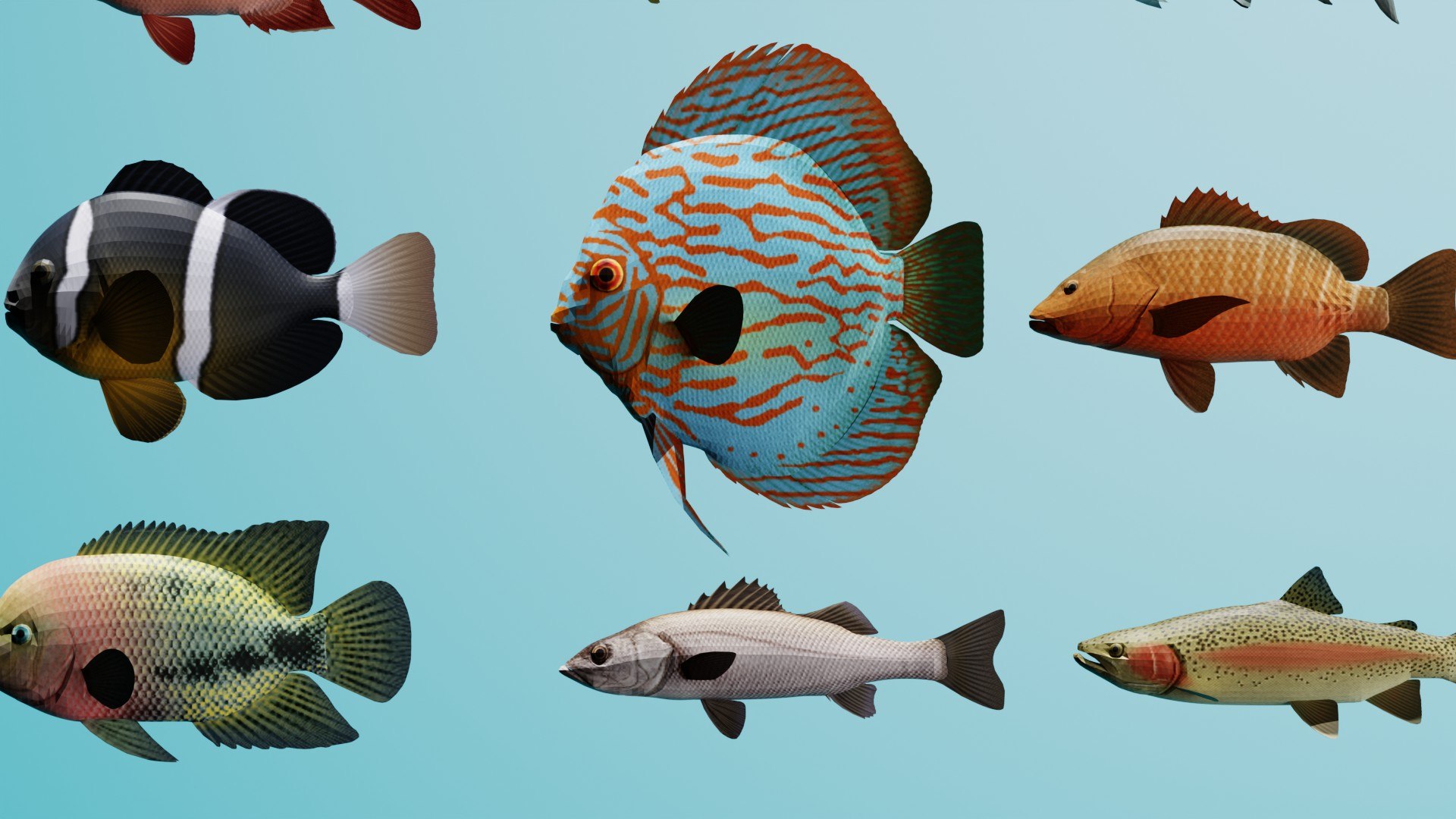 3D Realistic Tropical Marine Fish 3D Model Collection PBR Materials  Full UVs https://p.turbosquid.com/ts-thumb/mR/YLSIgz/5a/5/jpg/1779120148/1920x1080/fit_q87/049f6206bcfc4259bacab293a3a1c9e5d3c44ac6/5.jpg